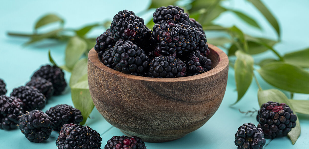 Health properties of Blackberry